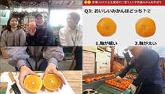 【ライブ配信】柑橘ソムリエ＆生産者の二宮さんと宇和島みかんを学ぼう
