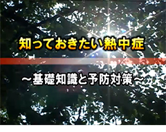 知っておきたい熱中症　～基礎知識と予防対策～