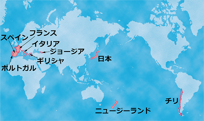 講座で取り上げるワイン産地9ケ国（ポルトガル、スペイン、フランス、イタリア、ギリシャ（2種類）、ジョージア（グルジア）、日本、ニュージ―ランド、チリ）